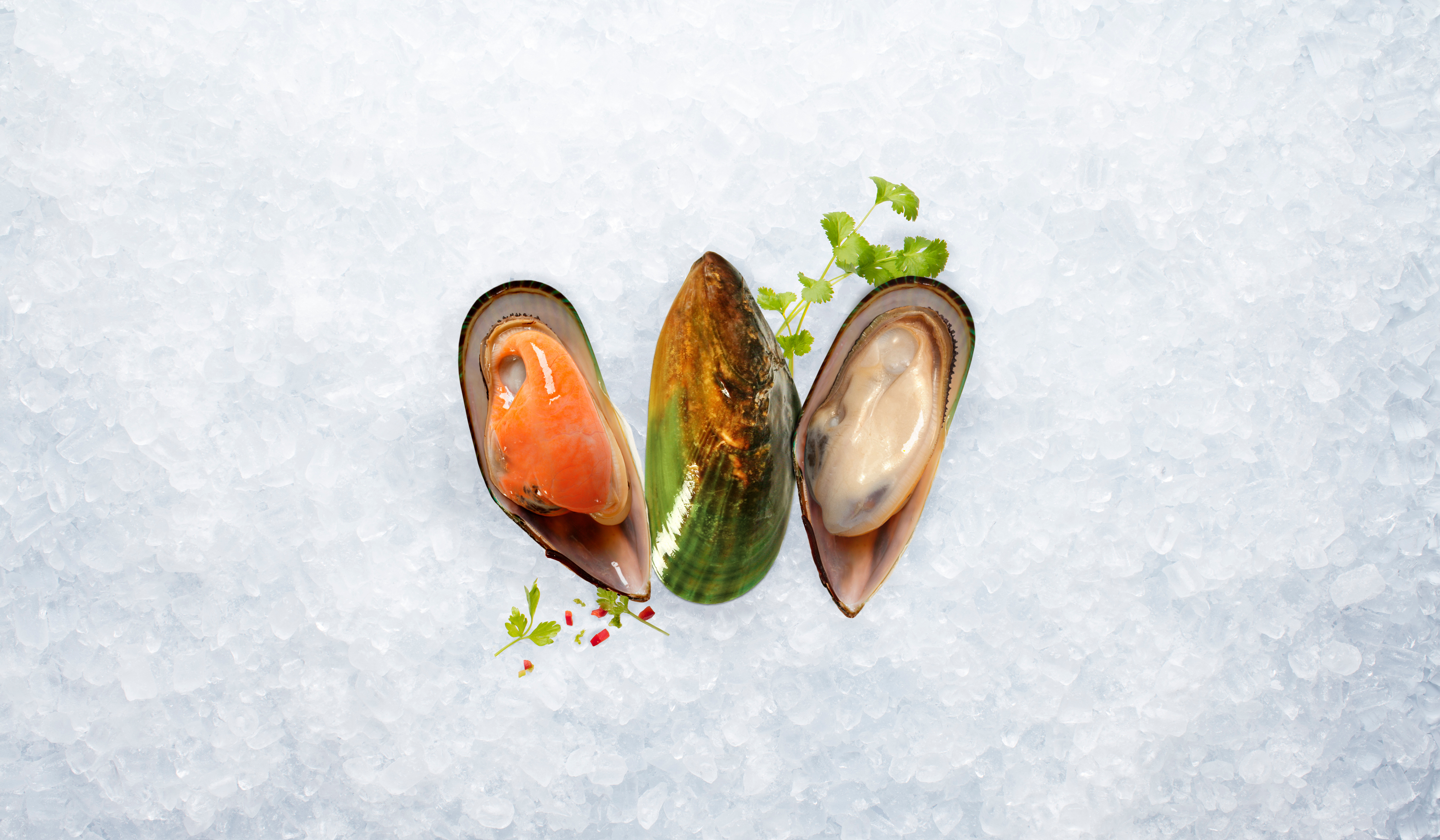 Mussels-for-tab-site-edited