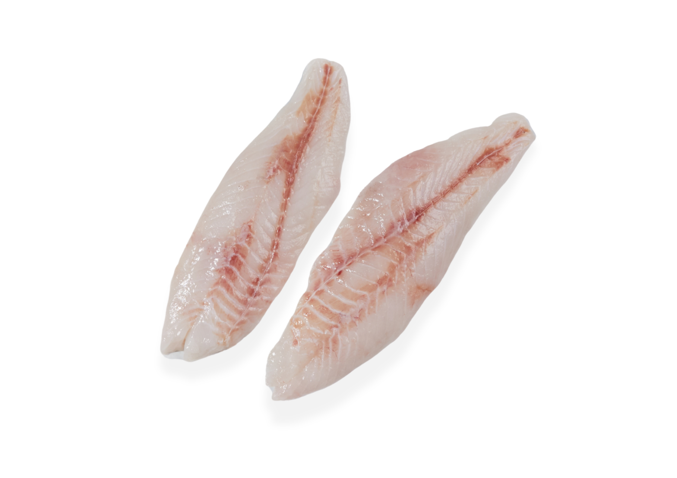 ORH-Fillets-with-shadow
