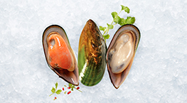 aquaculture-tile-mussels-263x145px