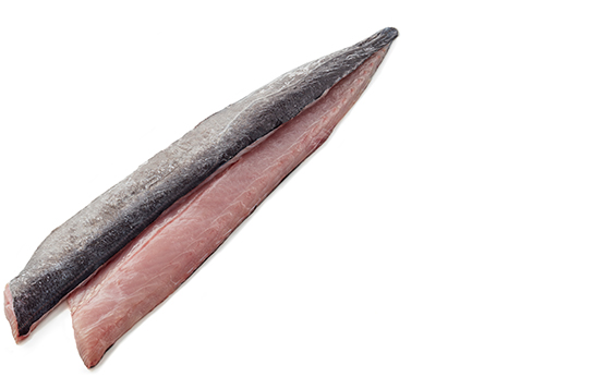 fillets-barracuda-hi