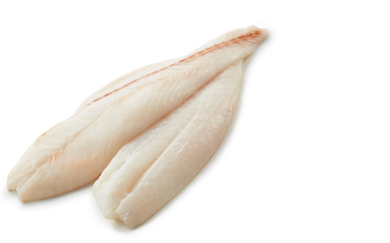 fillets-orange-roughy-hi