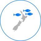 infographic-location-flounder-sole-gemfish
