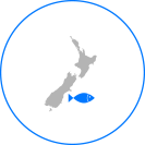 infographic-location-ghost-shark