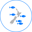 infographic-location-orange-roughy