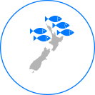 infographic-location-snapper