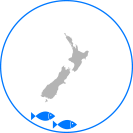infographic-location-southern-blue-whiting