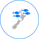 infographic-location-trevally