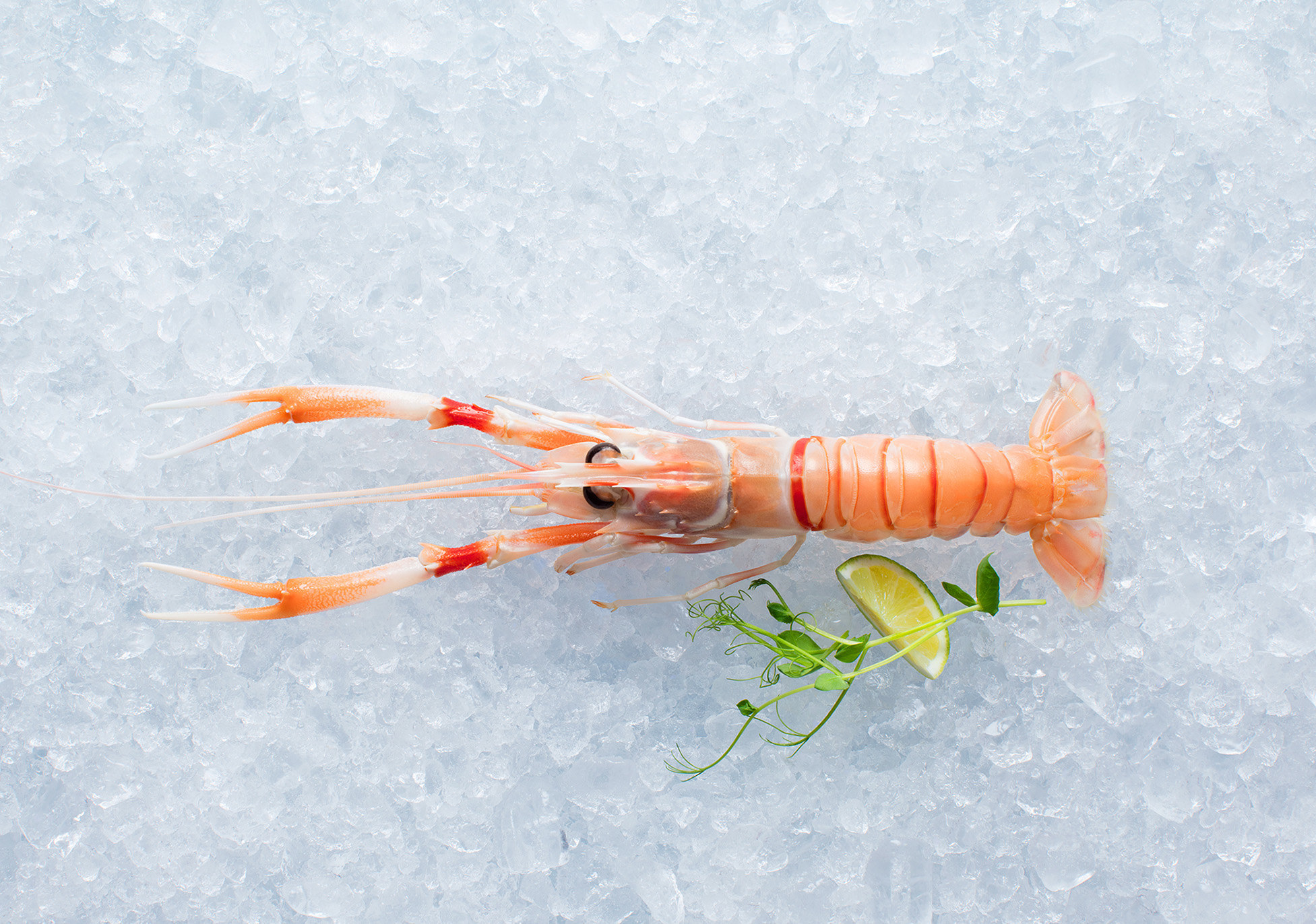 our-seafood-big-tile-1953x1372px-new